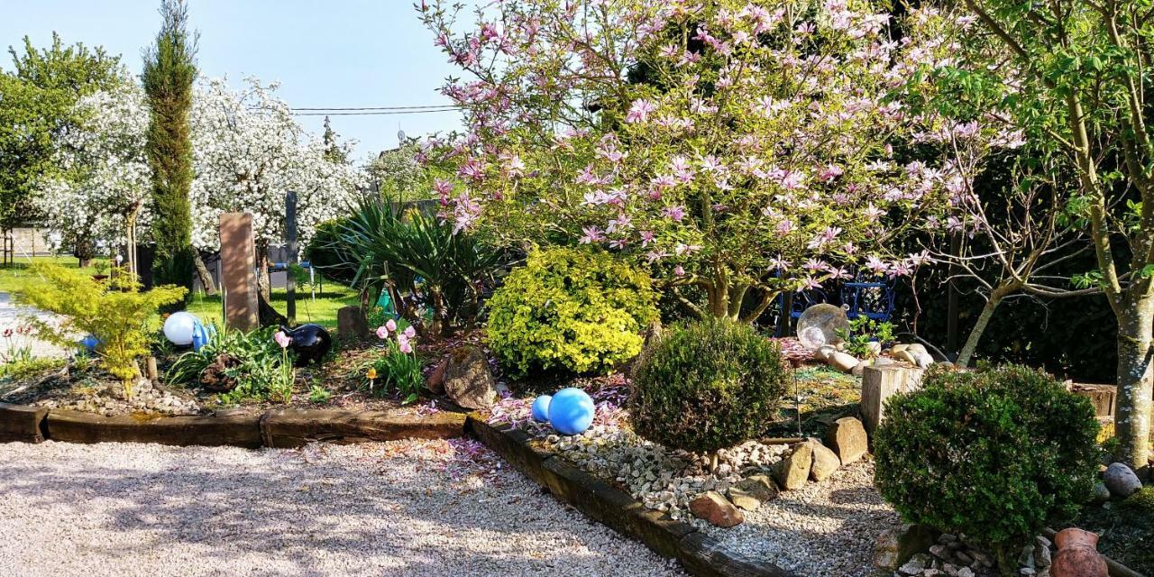 Gite Au Centre De L'Alsace Scherwiller Exterior foto