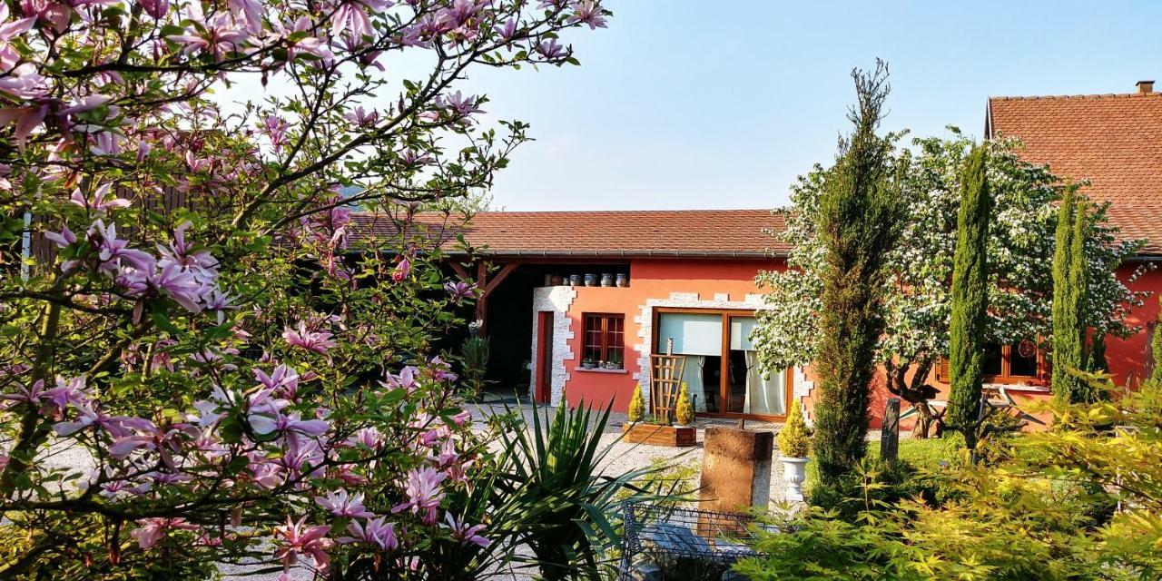 Gite Au Centre De L'Alsace Scherwiller Exterior foto
